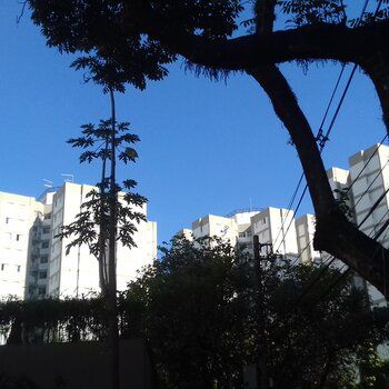 Apartamento - Aluguel - Jardim Marajoara - São Paulo - SP