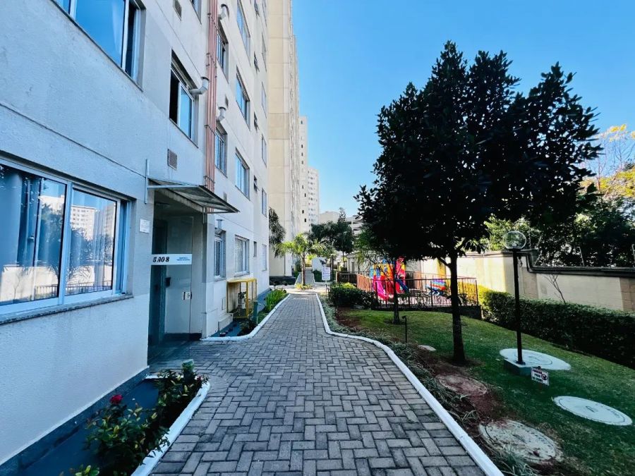 Apartamento - Venda - Jardim ris - So Paulo - SP