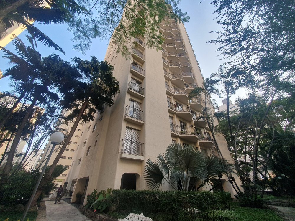 Apartamento - Aluguel - Moema - So Paulo - SP
