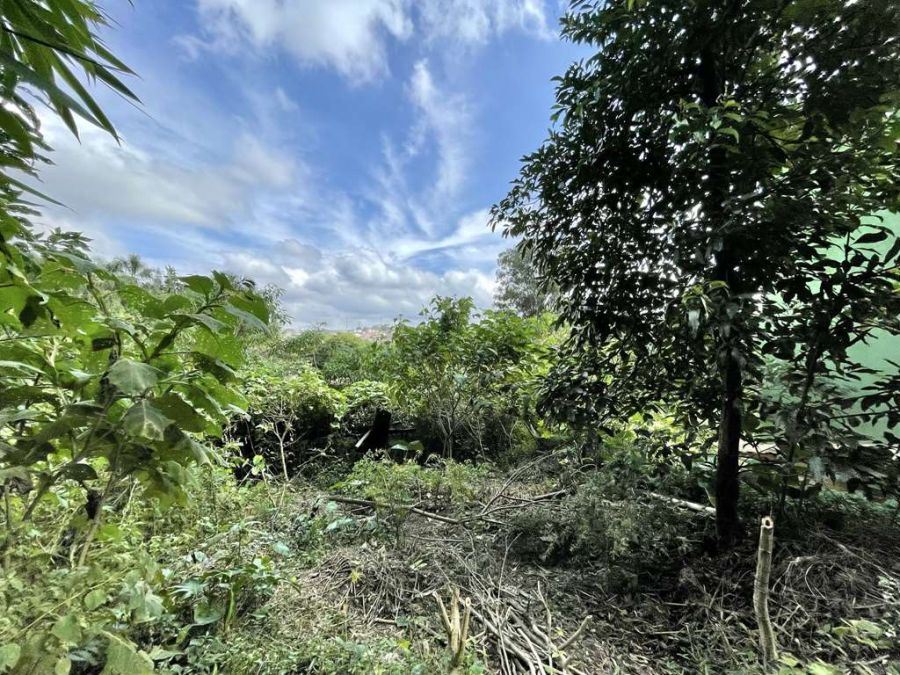 Lote - Venda - Vila Santo Antnio - Cotia - SP