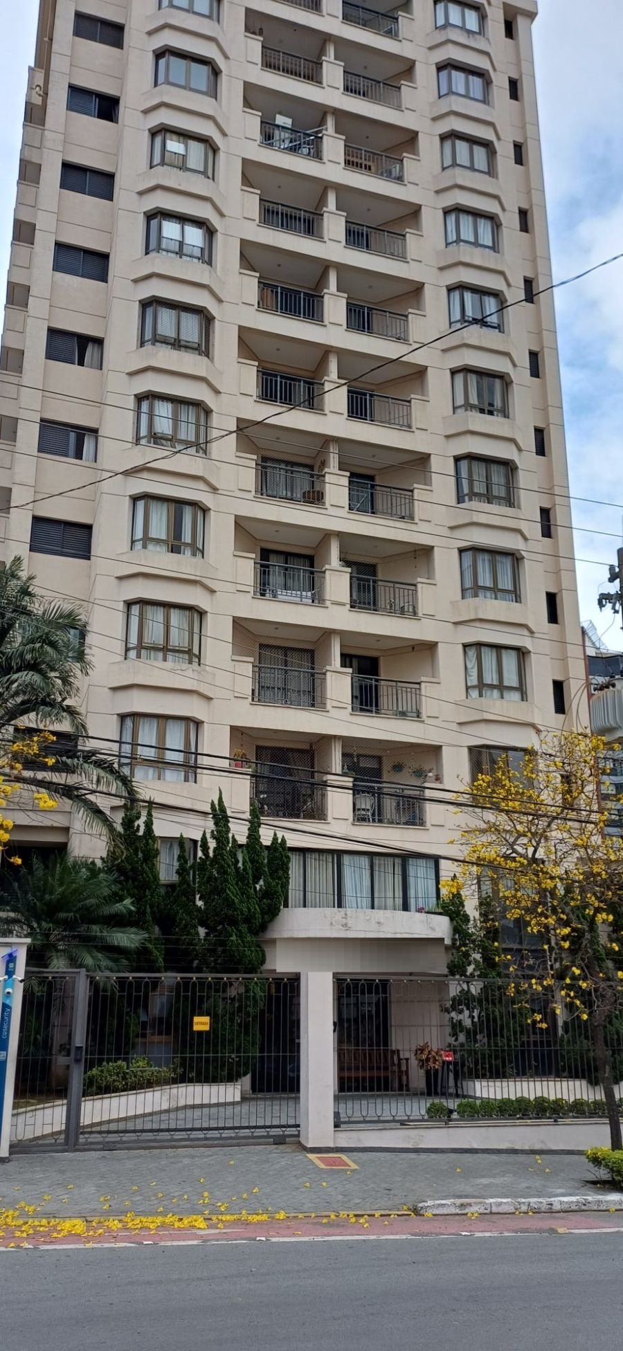 Apartamento - Aluguel - Moema - So Paulo - SP